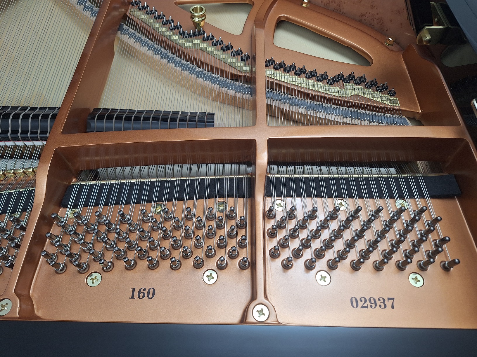 View of plate proudly showing the Danemann 160 model and serial number
