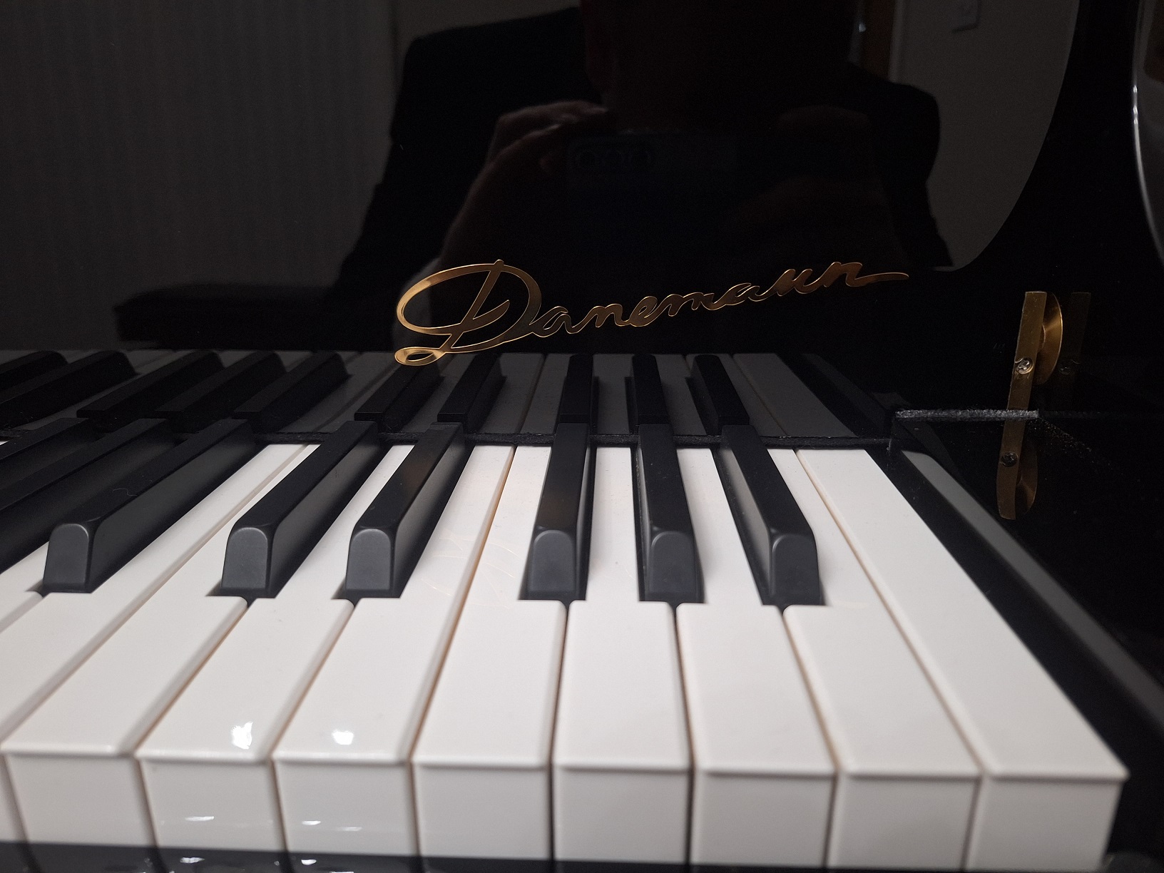 Danemann logo close up on the Danemann 160 Grand Piano