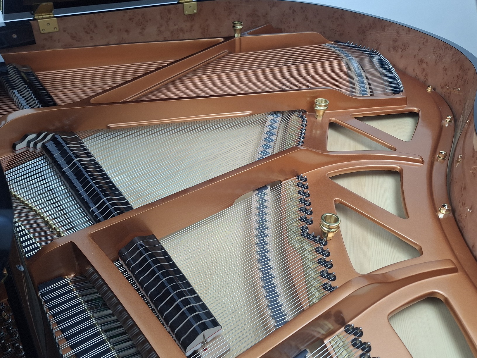 view of dampers and roslau strings on the new Danemann 160 Grand Piano